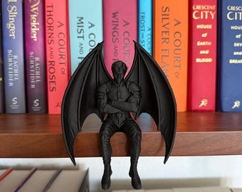 ACOTAR inspired Azriel (sitting version) bookshelf boyfriends - Shadowsinger- Romantasy - Bookshelf Decor - Bookish Gift - Smut