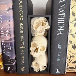 Stacked Skulls Book Nook - Fantasy Romantasy Dark Romance - Bookshelf Decor - Bookish Gift - Gothic Home Accents