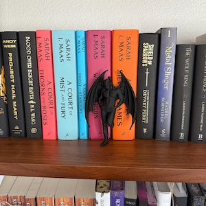 May include: A bookshelf displays a collection of books with colorful spines. A black figurine of a winged creature stands in front of the books. The books are arranged on two wooden shelves, with various titles and authors visible. The overall theme is fantasy literature.