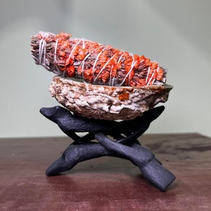 Small Abalone Shell with Stand