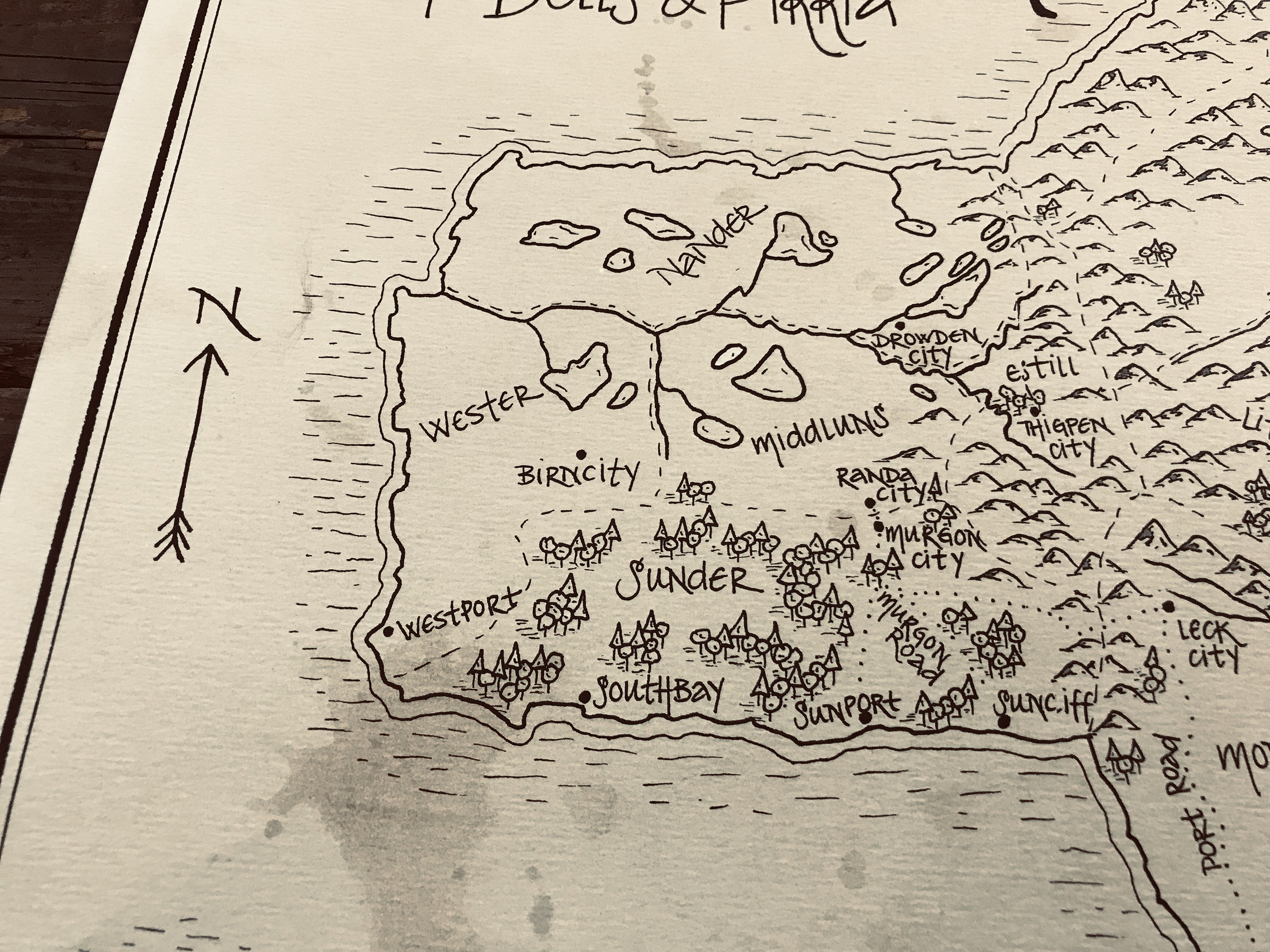 Map the Graceling World: Aged Handmade Hand Drawn Authentic  Etsy