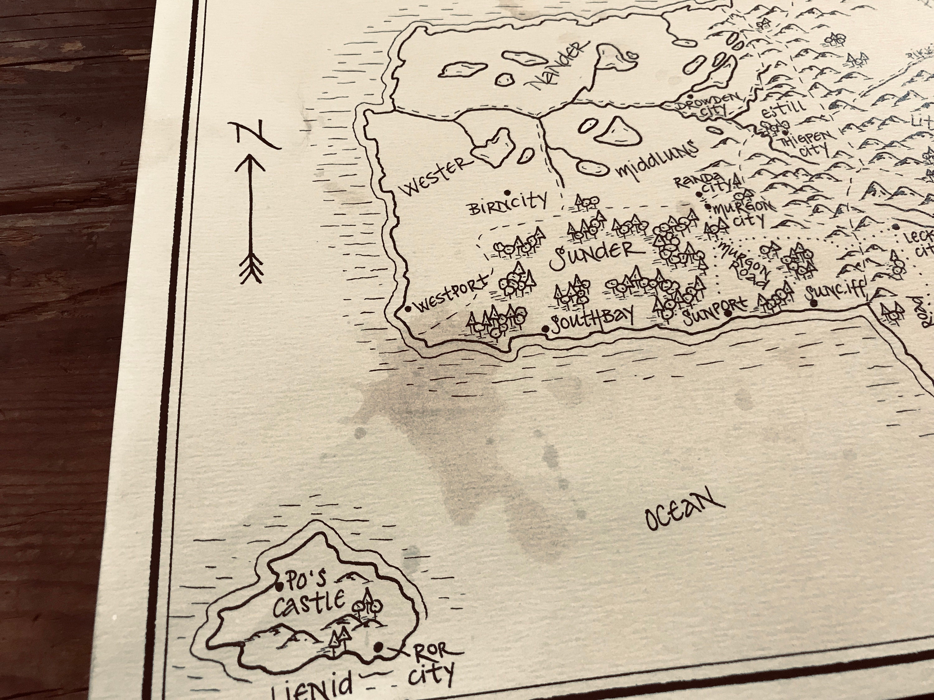 Map the Graceling World: Aged Handmade Hand Drawn Authentic  Etsy