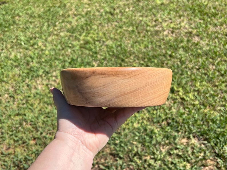 Shallow bowl made from camphor wood - being held in natural light, side view