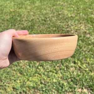 Shallow bowl made from camphor wood - being held in natural light to show another side view