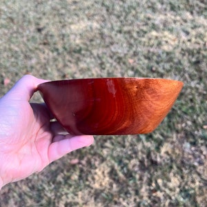 Eucalyptus wood bowl in natural light - side view