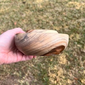 Camphor wood bowl in natural light - side view