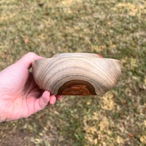 Camphor wood bowl in natural light - side view