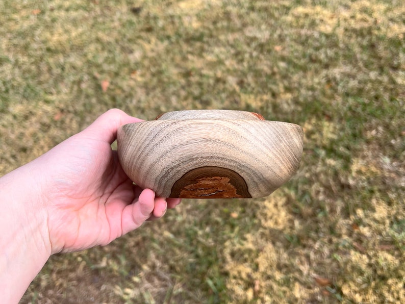 Camphor wood bowl in natural light - side view