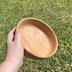 Shallow bowl made from camphor wood - being held in natural light, angled view to show inside of bowl