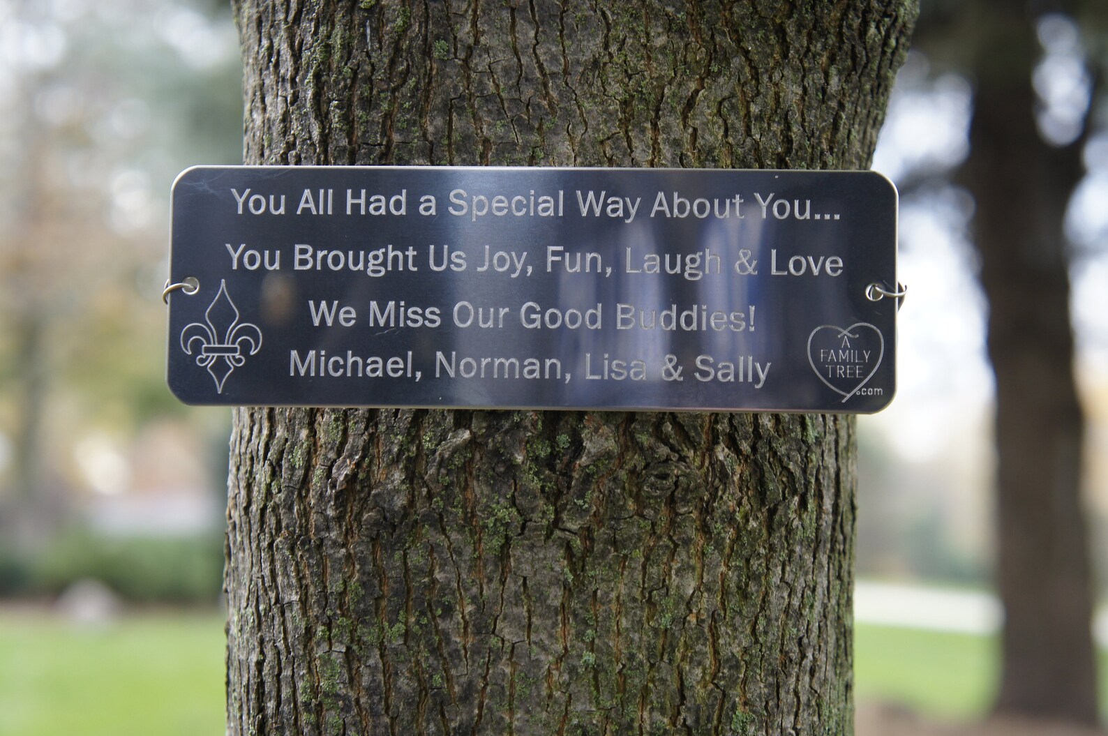 Engraved Tree Dedication Plaque. Memorial Tree Tag. Original Etsy