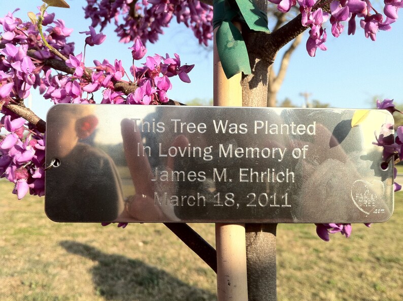 ggive a tree in memory note ggive a tree in memory note