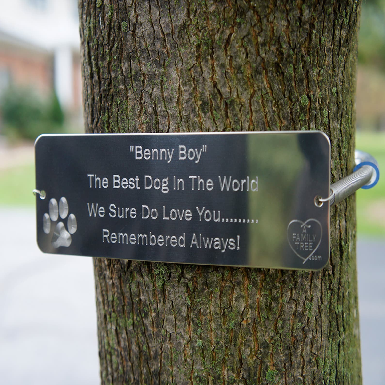 Engraved Tree Dedication Plaque. Memorial Tree Tag. Original Etsy