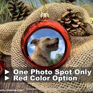 Op de afbeelding: Een glanzende rode bolvormige kerstbal met een ronde inzetfoto van een lichtgekleurde, ruwharige hond. Het ornament heeft een gouden ophanglus en de tekst One Photo Spot Only en Red Color Option staat op de afbeelding gedrukt.