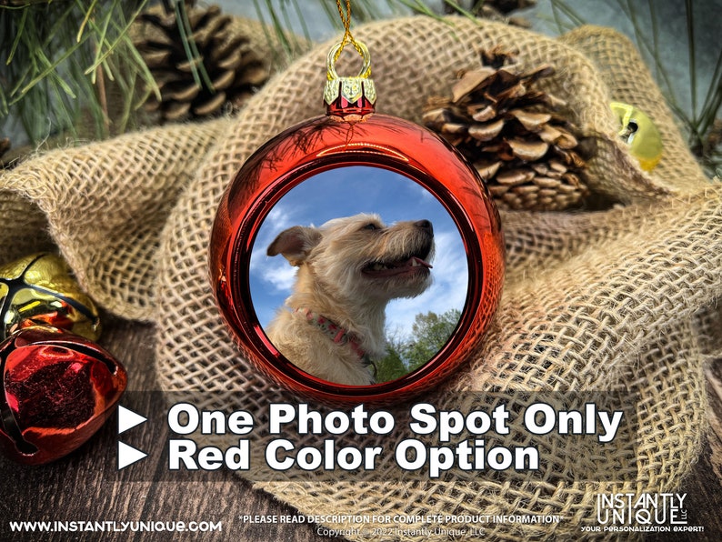 Op de afbeelding: Een glanzende rode bolvormige kerstbal met een ronde inzetfoto van een lichtgekleurde, ruwharige hond. Het ornament heeft een gouden ophanglus en de tekst One Photo Spot Only en Red Color Option staat op de afbeelding gedrukt.