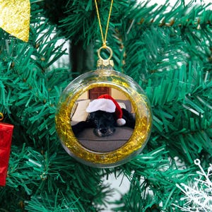 Op de afbeelding: Een doorzichtige, bolvormige kerstbal met een goudkleurige metalen dop en een binnenkant van gouden klatergoud. In het midden is een foto te zien van een zwarte hond met een rood-witte kerstmuts die op een grijze bank ligt.