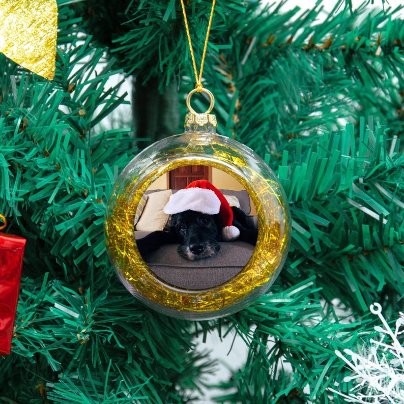 Op de afbeelding: Een doorzichtige, bolvormige kerstbal met een goudkleurige metalen dop en een binnenkant van gouden klatergoud. In het midden is een foto te zien van een zwarte hond met een rood-witte kerstmuts die op een grijze bank ligt.