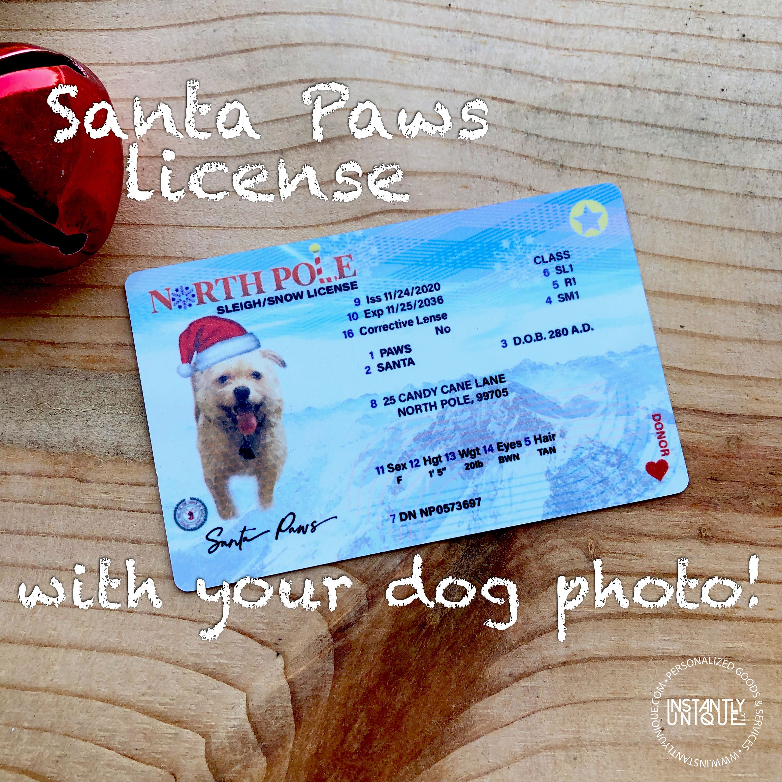 1 Cute Pooch Kid Novelty Driver License Child Safety Identification Card  for Children Under 12 (Florida)