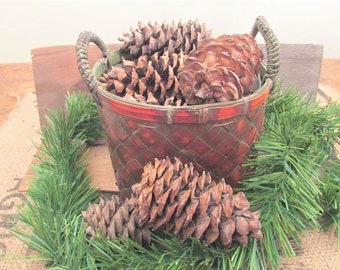 Pinecones for Crafting, Wreath Making Supplies
