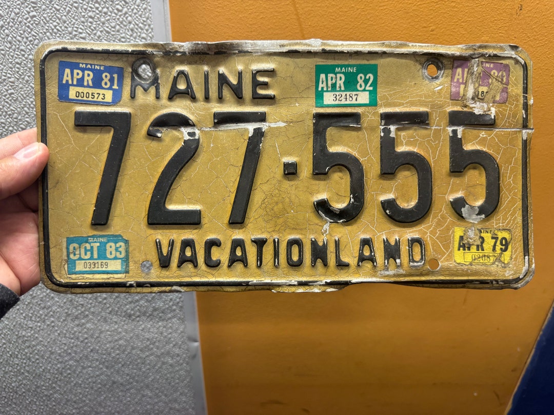 License Plate Hippie Camping Vintage Van Cat Acrylic Keychain Cat Lover Gift P226138