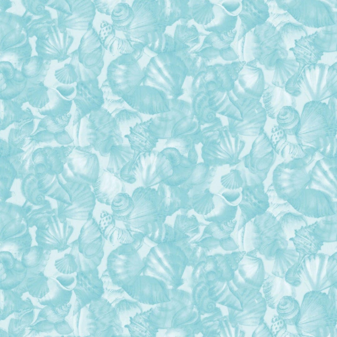 Seascape Packed Shells Aqua - Etsy