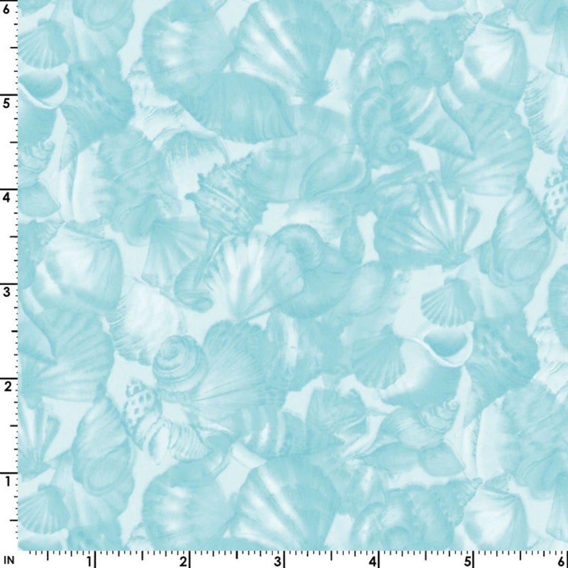 Seascape Packed Shells Aqua - Etsy