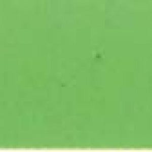 May include: A solid green background with a subtle texture.