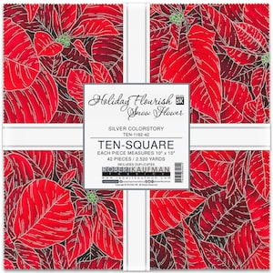10in Squares Holiday Flourish Snow Flower Silver Colorstory 42pcs