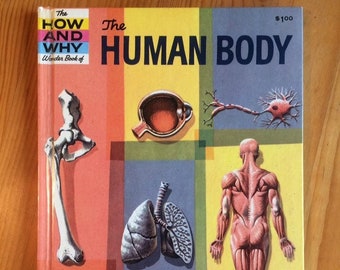 The Human Body