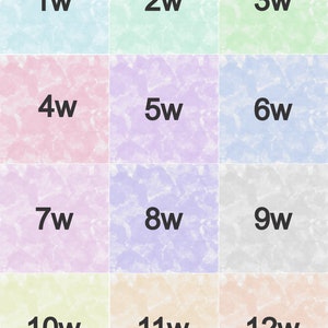 May include: A colourful chart with 12 squares, each with a different pastel colour. The squares are numbered 1 through 12, with the letter "w" following each number.