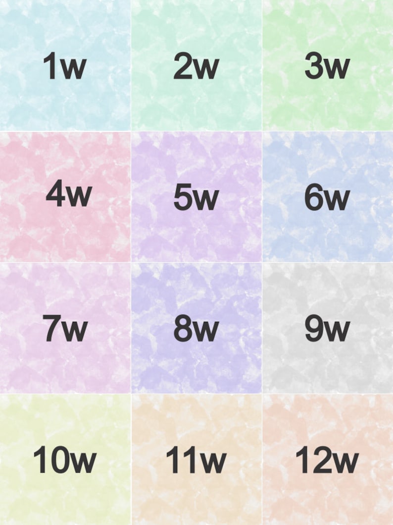 May include: A colourful chart with 12 squares, each with a different pastel colour. The squares are numbered 1 through 12, with the letter "w" following each number.