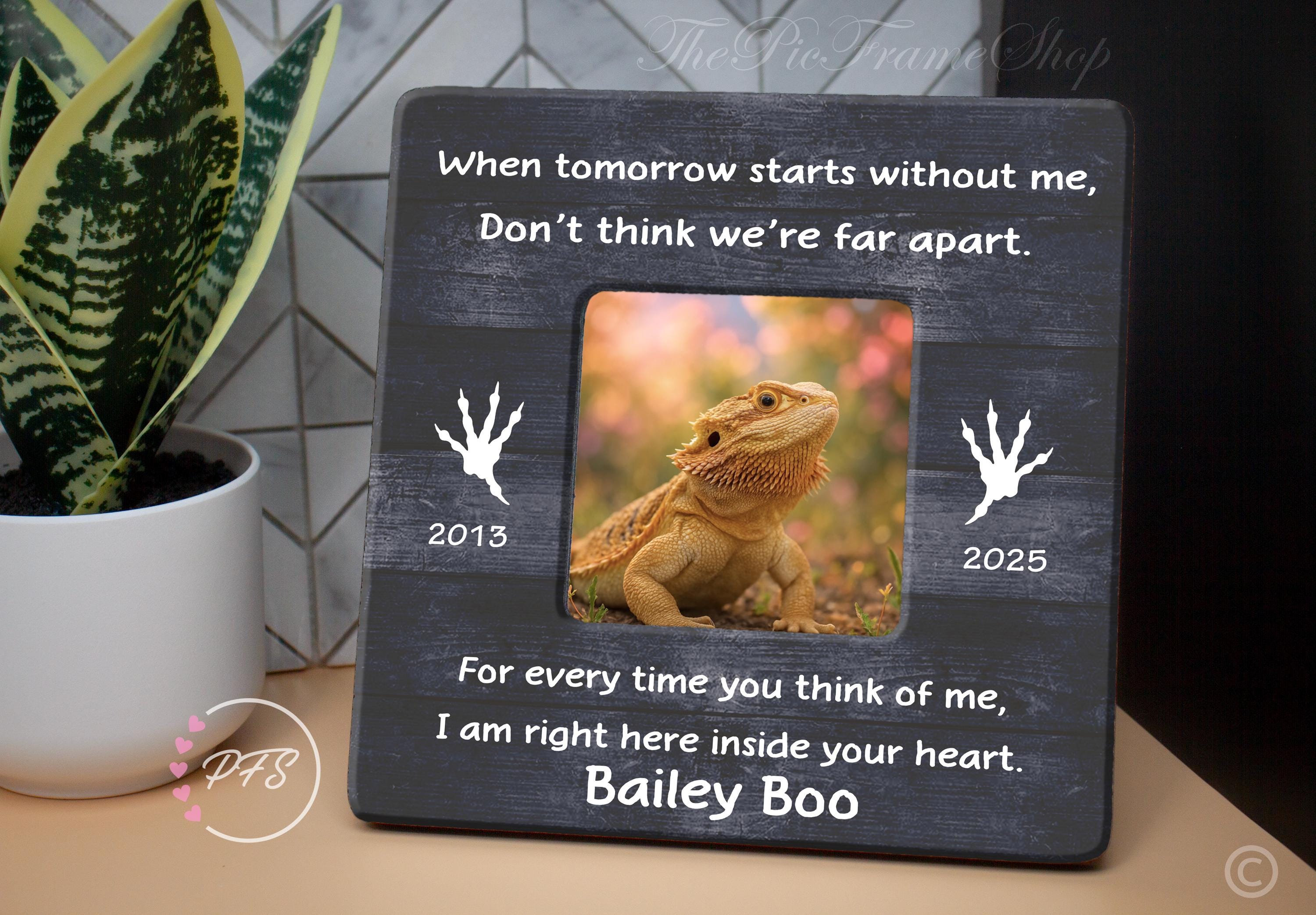 Bearded Dragon Gifts - 60+ Gift Ideas for 2026, image size:3000x2086