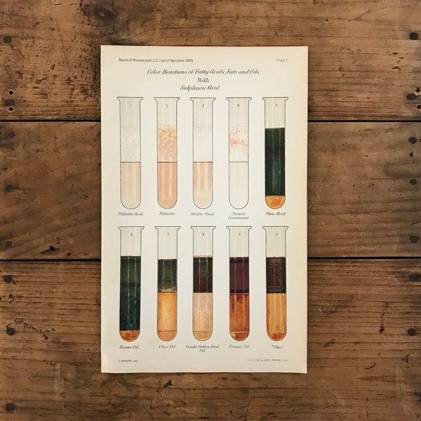 RESERVED - Original 1888 Test Tubes Print - Color Reactions of Fats and Oils, 19th Century Scientific Lithograph