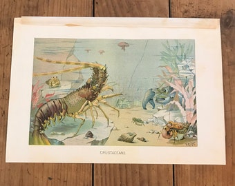 10.4x6.6 historical item Antique print of Crustaceans from 1865 antique colour lithograph print size ca