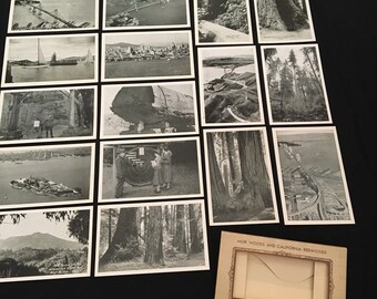 California Redwoods Vintage Postcard Pack, Set of 16 Unused Postcards from Muir Woods, California Redwoods Souvenir