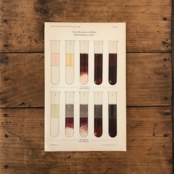 RESERVED - Original 1888 Test Tubes Print - Color Reactions of Butter, 19th Century Scientific Lithograph