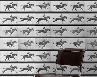 Vintage Equestrian Locomotion, Black and White Horse Plate Removable Wallpaper, Self-Adhesive Wallpaper, Peel and Stick Wallpaper