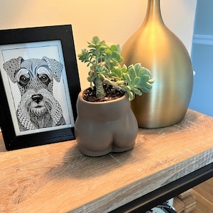 Concrete Booty Planter: Funny Butt Vase • Cheeky Gift for Her or Him • Handmade Concrete Planter • Modern Home Office Bathroom Decor • USA
