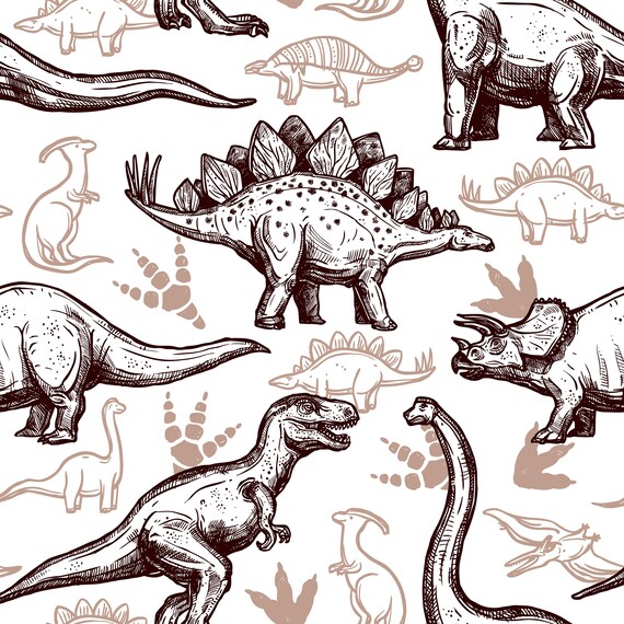 Ouxioaz Boys Swim Trunk Animal Dinosaurs Beach Board Shorts Ouxioaz Boys Swim Trunk Animal Dinosaurs Beach Board Shorts