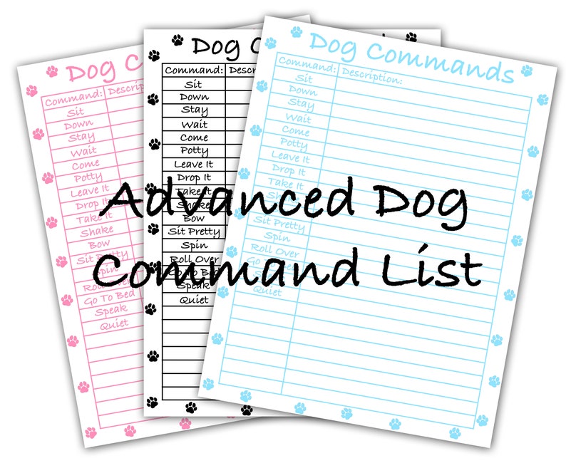 Advanced Dog Command List Puppy Dog Trick Training Blue Boy Etsy