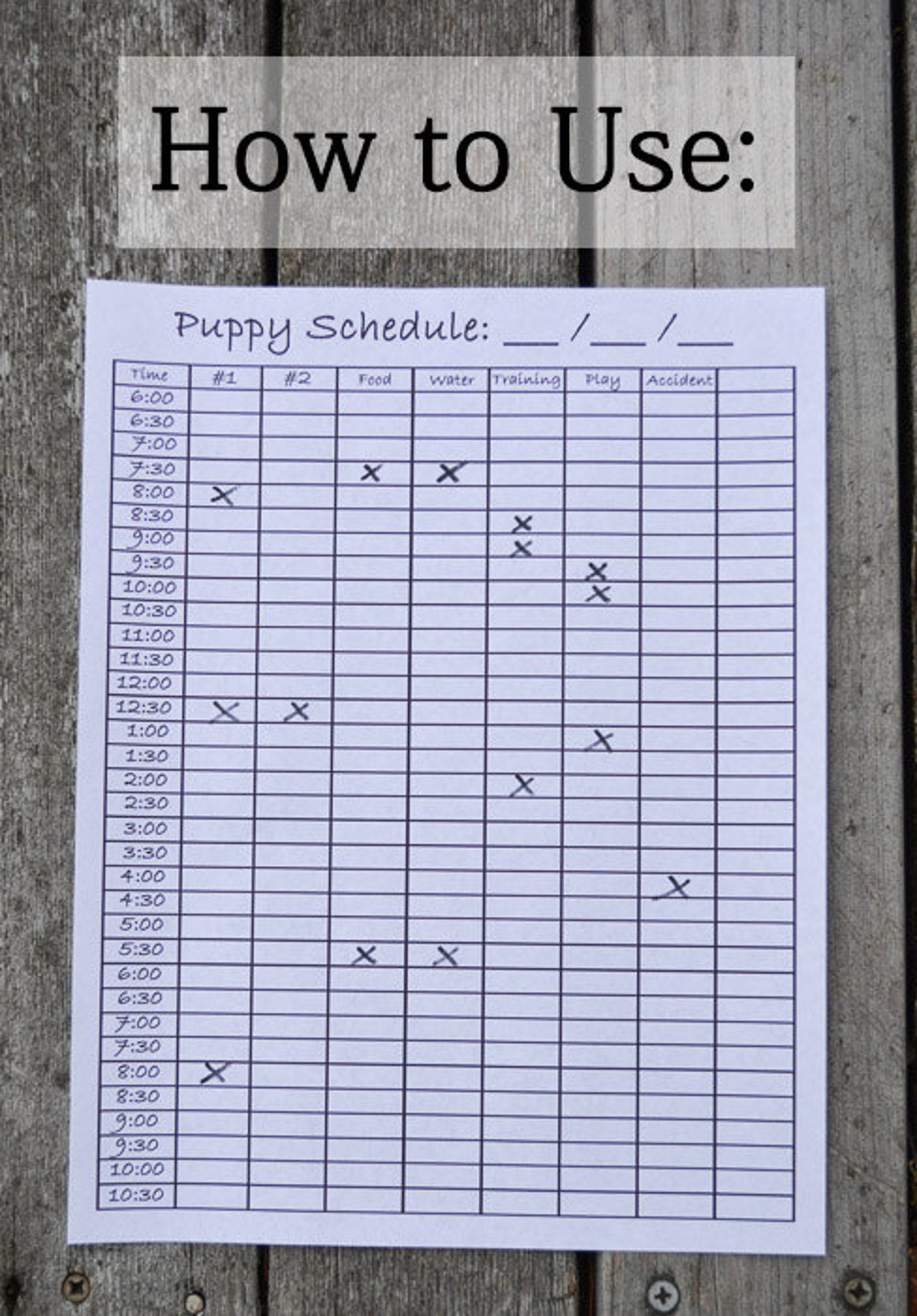 Puppy Potty Training Chart Etsy