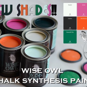 CHARLESTON GREEN Wise Owl Chalk Style Paint, Pint size Furniture Paint, green paint image 3