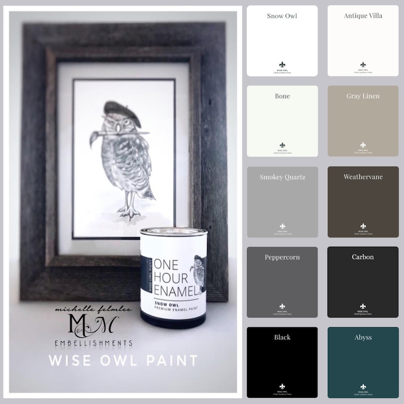 ENAMEL Paint by Wise Owl ONE HOUR Cure Time Gallon Size Etsy