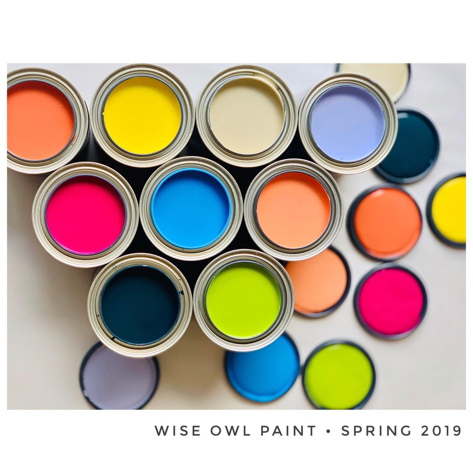Wise Owl Paint POSEIDON Chalk style Furniture Paint green Etsy