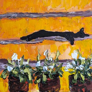 Puede incluir: Un gato negro duerme sobre una superficie rayada de color amarillo y naranja. Tres plantas en maceta con flores blancas están en primer plano.
