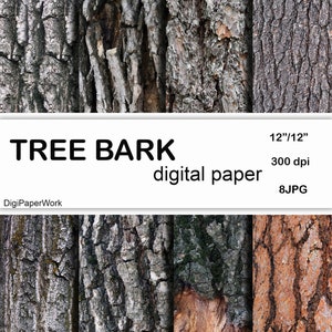 Tree bark digital paper Bark Texture Instant Download Bark background