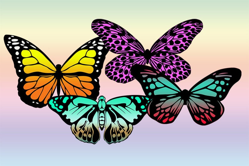Schmetterling Clip Art Vorlage Digital Clipart Bunte 4 Arten - Etsy.de