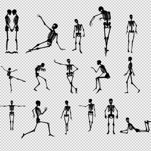 May include: A collection of black and white skeleton illustrations in various poses. The skeletons are depicted in different positions, including standing, dancing, and running. The image has a transparent background.