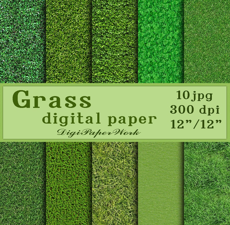 Grass digital paper Grass digital background Grass Texture Etsy