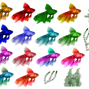 Fish Clipart Digital Algae clip art Scrapbooking Sea Elements aquarium digital fish Personal and Commercial Use