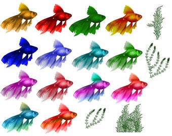 Clipart z rybami: elementy morskie, glony, grafiki akwariowe (do pobrania w wersji cyfrowej)